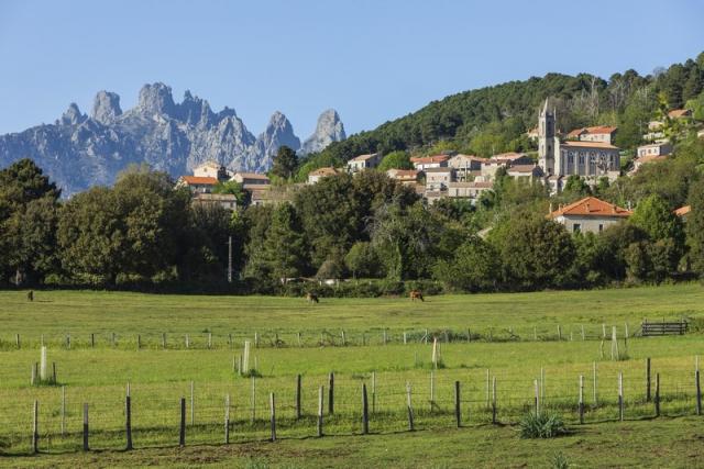 Domaine Le Mouflon d'Or